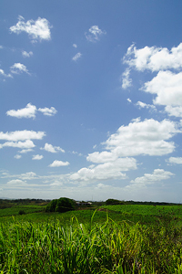 草原と空