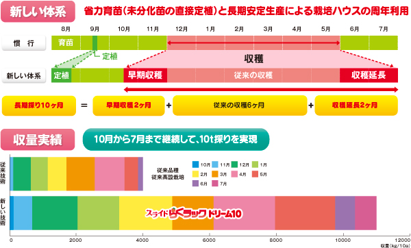 新しい体系 省力育苗（未分化苗の直接定植）と長期安定生産による栽培ハウスの周年利用 収量実績 10月から7月まで継続して、10t採りを実現