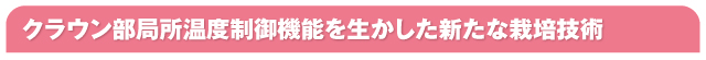 クラウン部局所温度制御機能を生かした新たな栽培技術